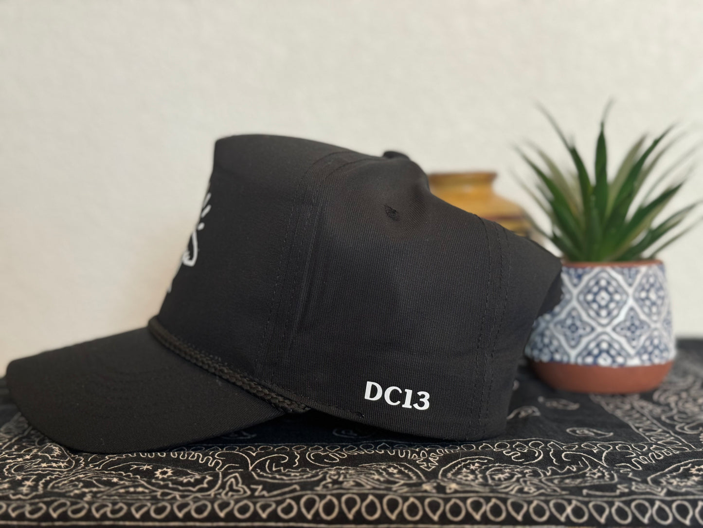 DC13 logo Hat